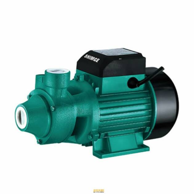 "Électropompe de haute performance, idéale pour le pompage d'eau propre ou légèrement chargée. Robuste et efficace, adaptée aux usages domestiques et industriels. Disponible chez Outillage Aouami."