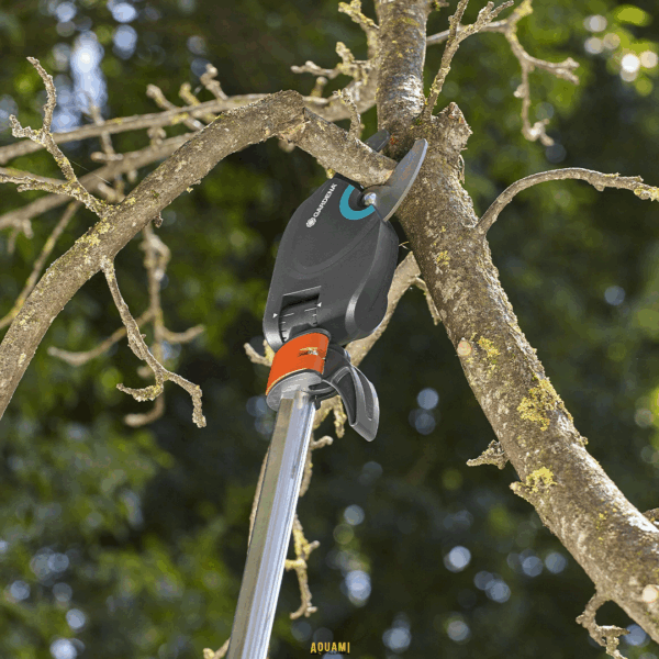 "Coupe-branches Kupa avec réglage – Outil de jardinage ergonomique conçu pour tailler facilement les branches. Réglage précis pour une coupe efficace et sans effort. Disponible chez Outillage Aouami."