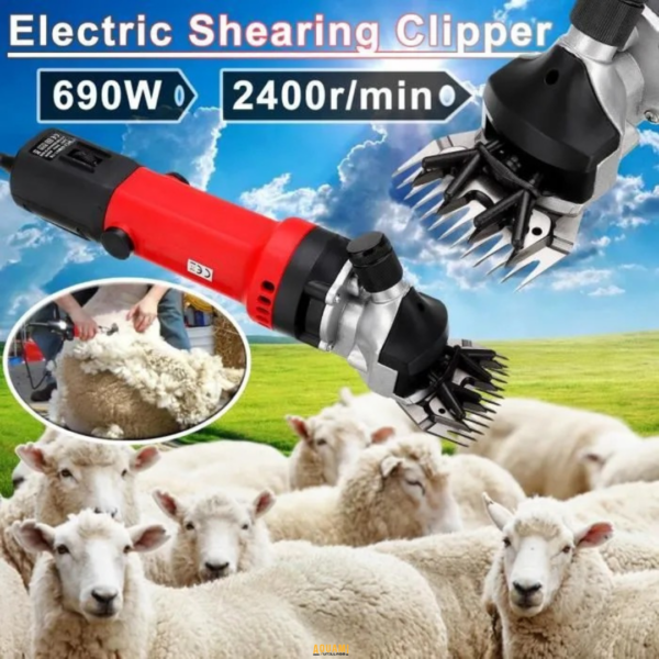 "Tondeuse électrique pour mouton, idéale pour une coupe précise et rapide des poils. Parfaite pour un usage professionnel et domestique. Disponible chez Outillage Aouami."