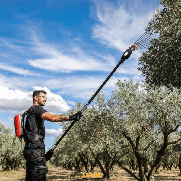 Vibreur à olive thermique à essence pour récolte professionnelle d’olives
