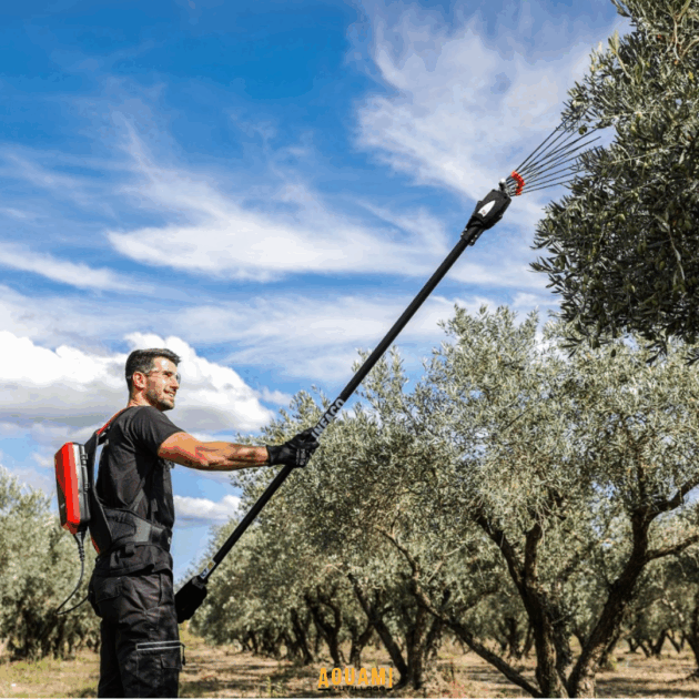 Vibreur à olive thermique à essence pour récolte professionnelle d’olives