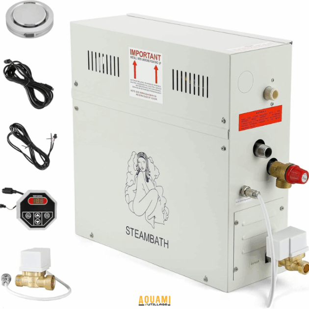Générateur de vapeur 6kW 9kW 220V pour hammam et sauna vapeur