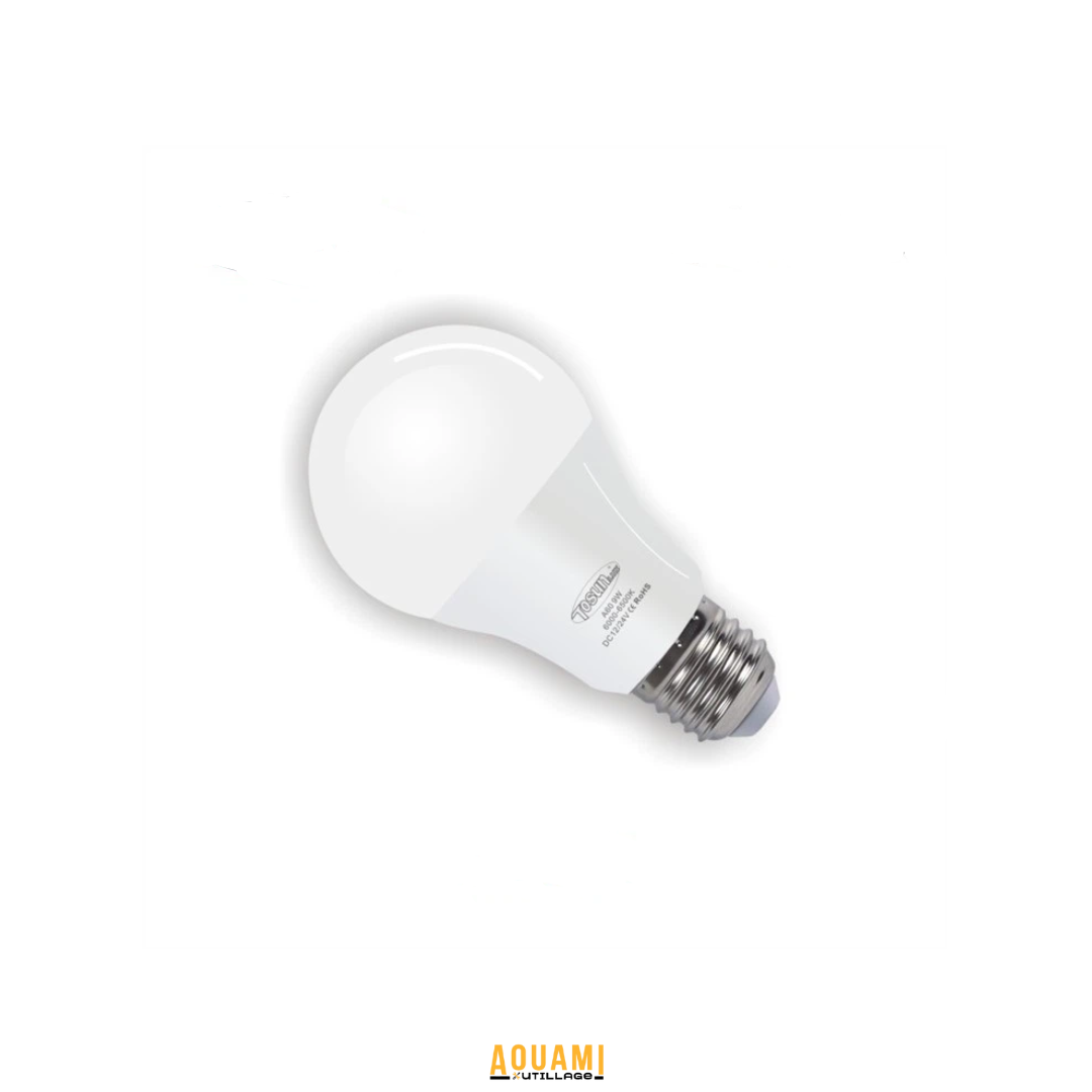 Lampe LED 12V 24V 9W et 12W blanc froid 6500K avec culot E27 et B22 pour basse tension.