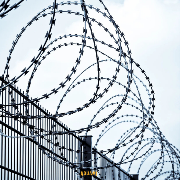 Fil barbelé rasoir 7 mètres sécurité clôture anti intrusion